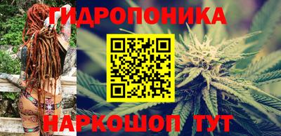 индика Будённовск