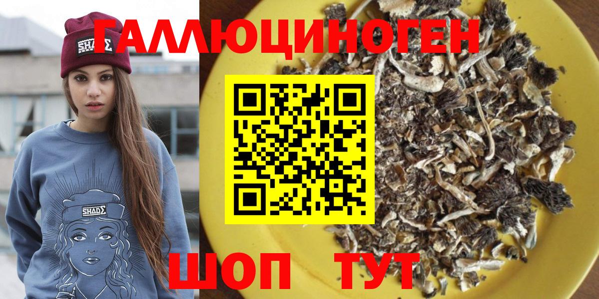 Галлюциногенные грибы Psilocybine cubensis  Псилоцибиновые грибы MAGIC MUSHROOMS  Чайковский  Вход с VPN 